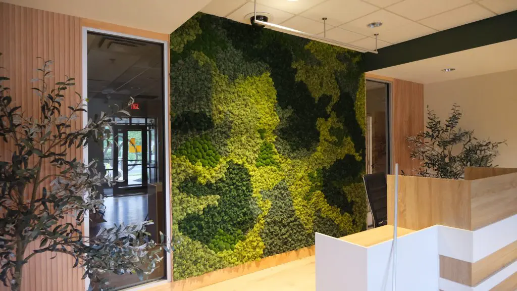 decorative moss wall